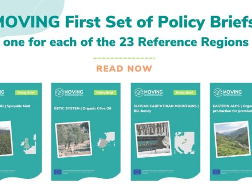 NEWS | MOVING published policy briefs for each of its 23 Mountain Reference Regions