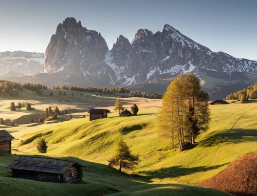 ARTICLE | Proposals to digitalise Italy’s mountain areas 